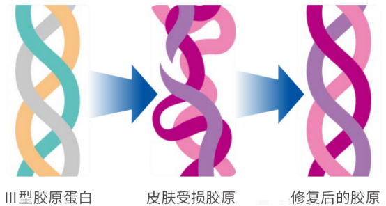 械二类医用精华，医用重组胶原蛋白修护液产品介绍