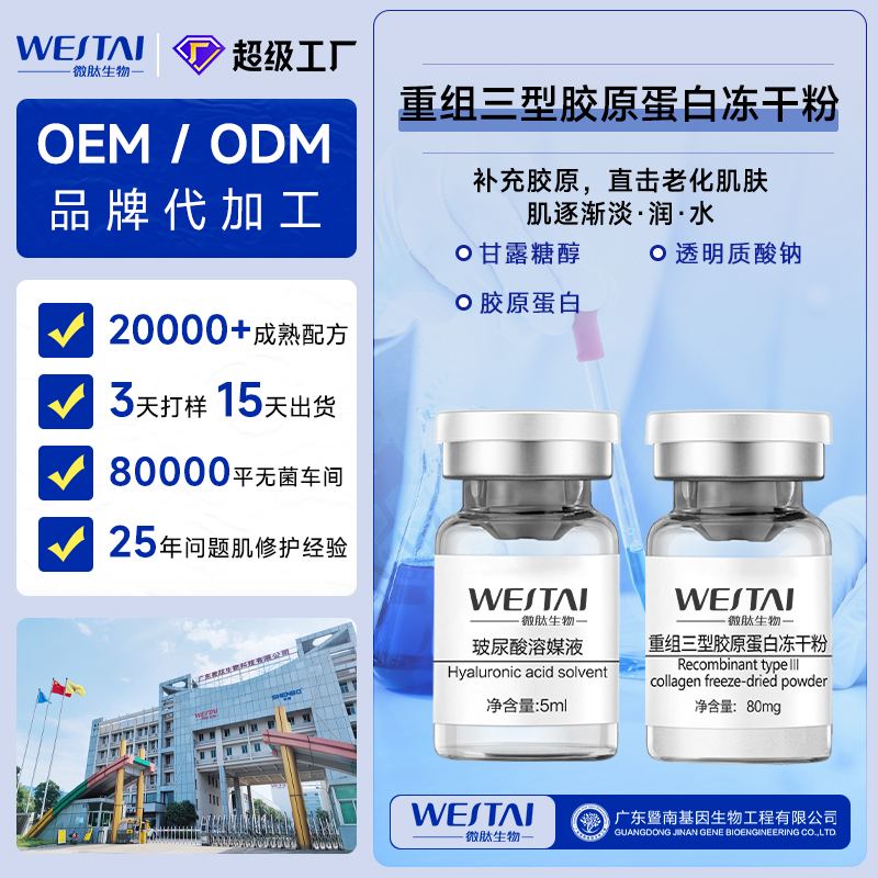 重组Ⅲ型胶原蛋白冻干粉广东／广州源头冻干粉代加工厂家
