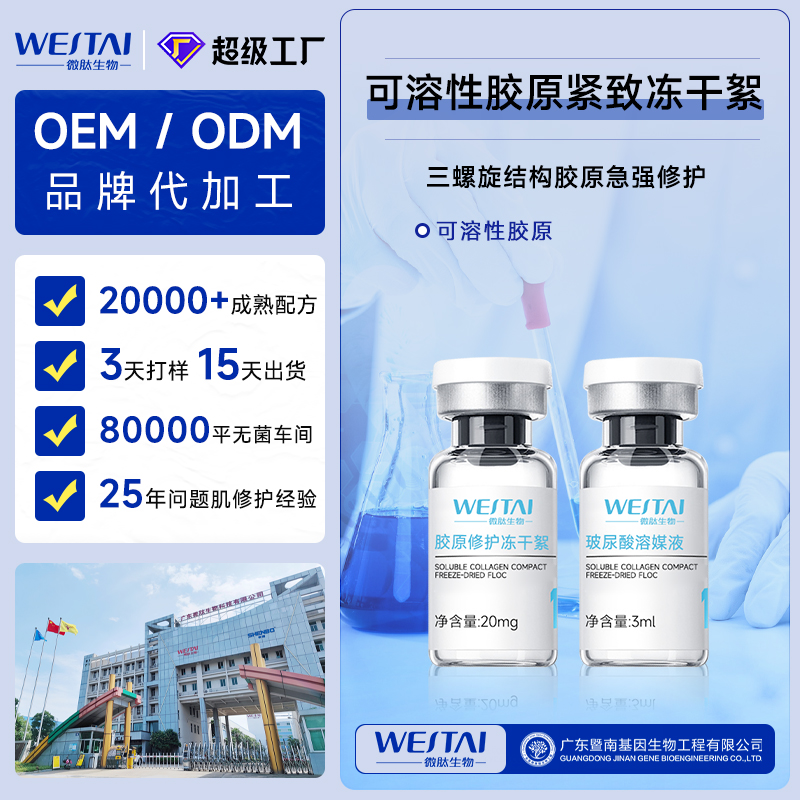 广东微肽生物可溶性胶原紧致冻干絮 OEM/ODM 抗皱淡纹冻干粉源头贴牌代加工厂家